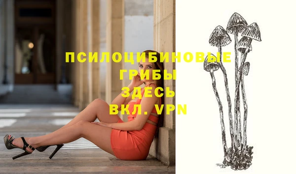 таблы Аркадак