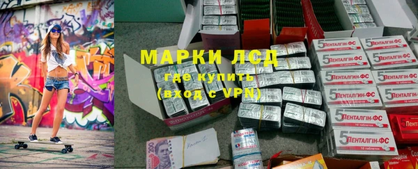 стаф Арсеньев