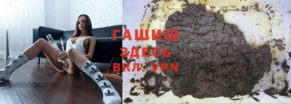 стаф Арсеньев