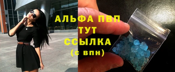 стаф Арсеньев