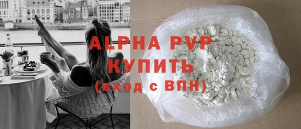 стаф Арсеньев