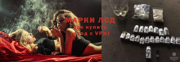стаф Арсеньев