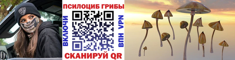 Купить  Суровикино  Галлюциногенные грибы MAGIC MUSHROOMS 